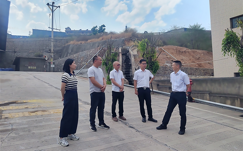 ������˾�򵼸���֦���м���������Ŀ����